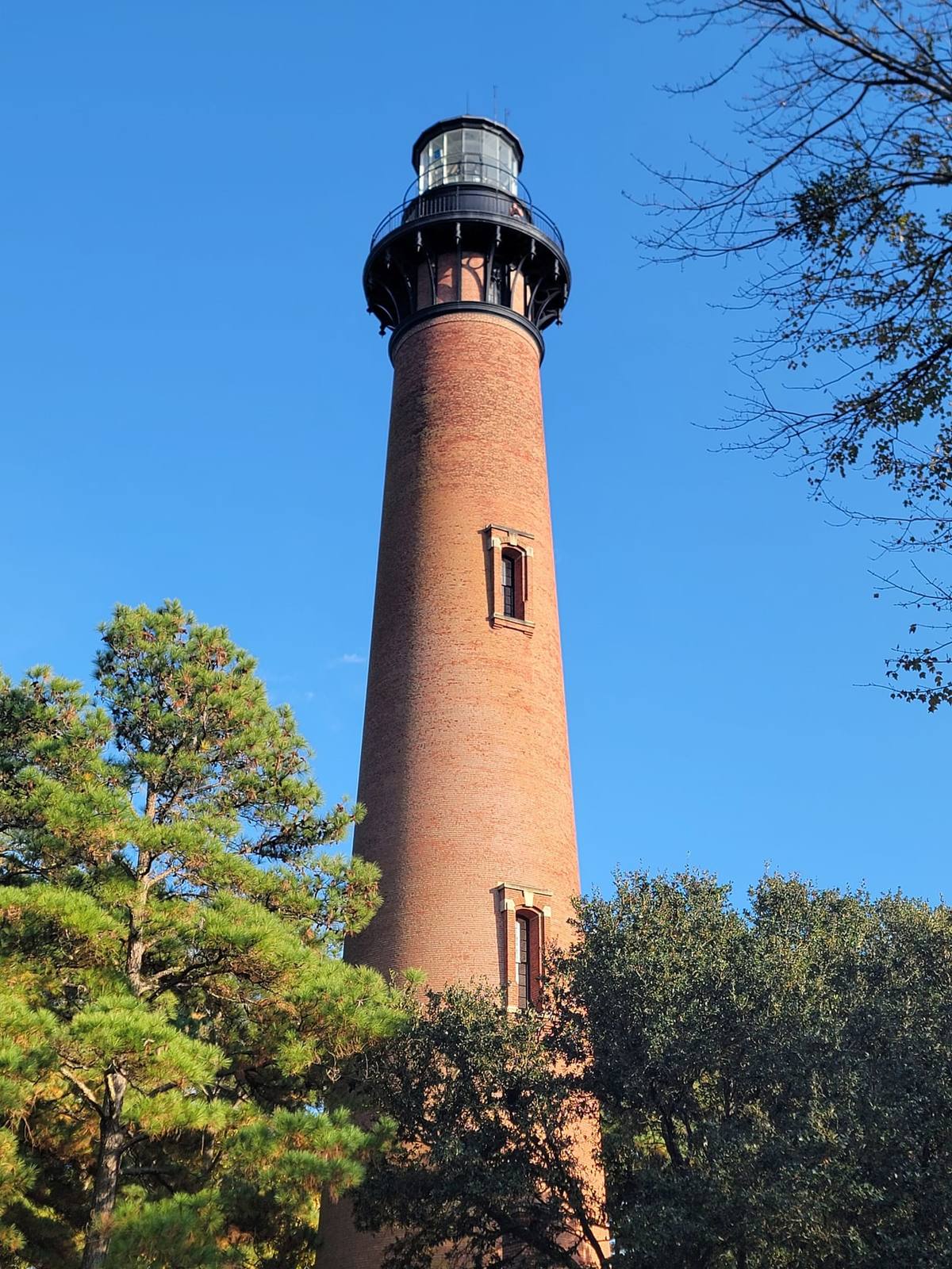 The unpainted red-brick tower of the Currituck Beach Lighthouse against a blue sky, framed by pines