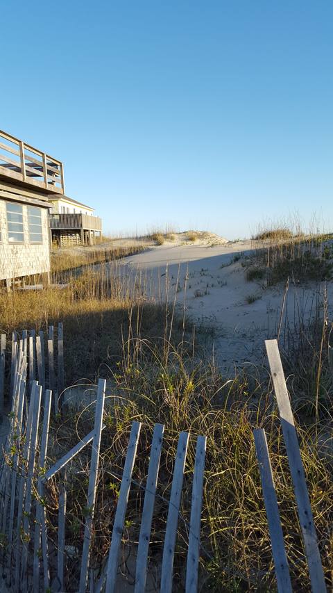 Wooden dune fencing and sea oats on a sand dune with beach houses behind, in early morning light