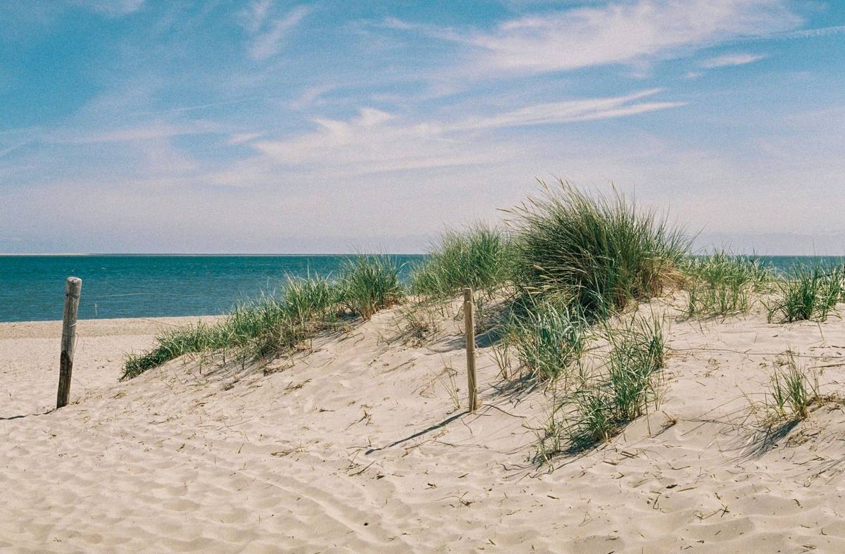 An empty sandy beach with dune grass in the foreground and a calm ocean under a bright blue sky