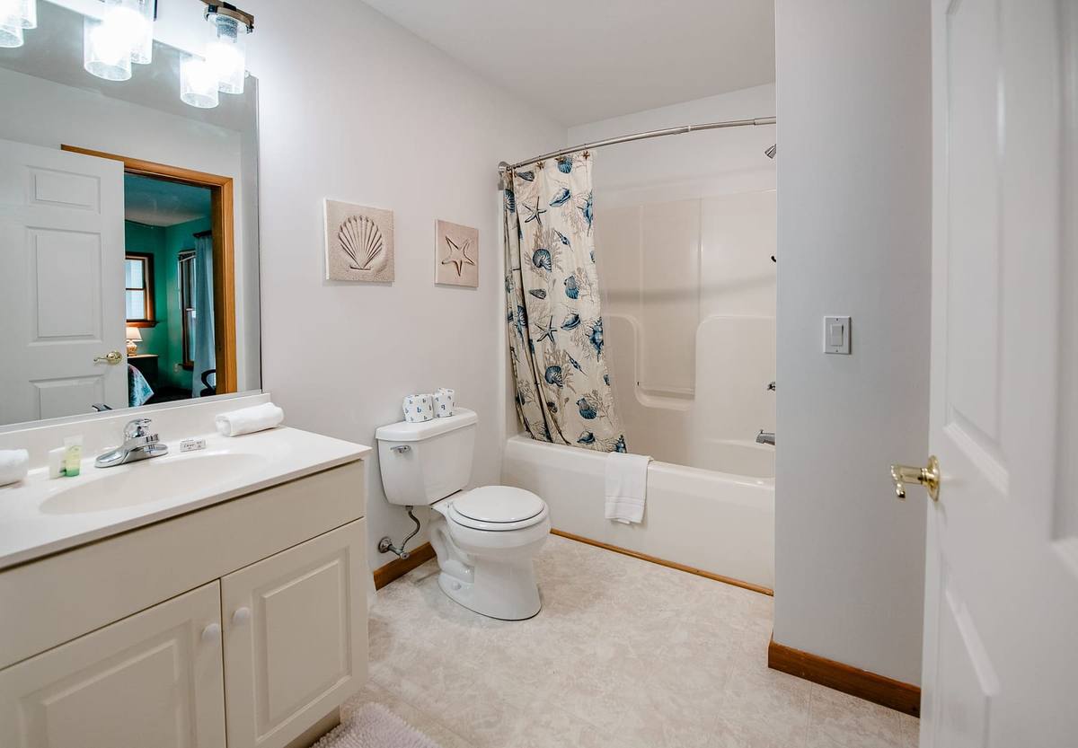 Bathroom with a single vanity, toilet, and a shell-print shower curtain