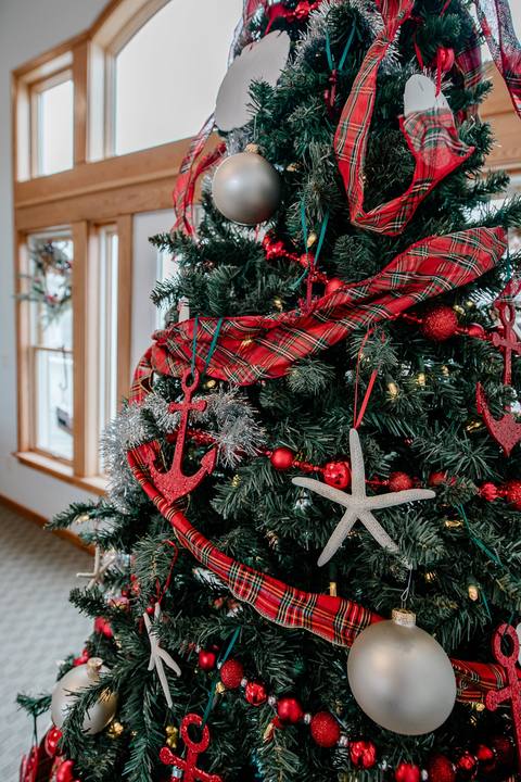 Close-up of Christmas tree branches decorated with a red starfish ornament, a red glitter anchor, silver ball ornaments, and red plaid ribbon